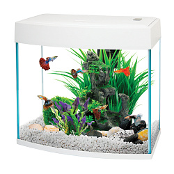 Аквариум BasicP 14л, панорамный белый, 34*19,2*31см, AA-Aquarium