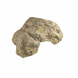 Грот Пещера для рептилий FERPLAST Reptile Cavern 5