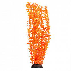 Растение аквариумное Людвигия ярко-оранжевая 50см, Laguna