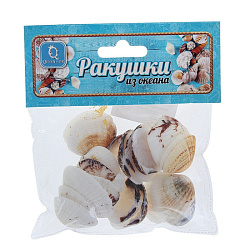 Набор ракушек 2,5-4,5см 100гр