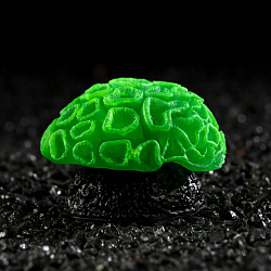 Грот коралл Faviidae, 5*2,5 см, силиконовый, зелёный   7108821